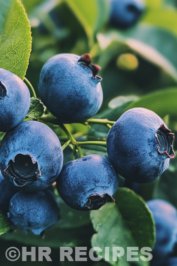 Fruity Indulgence 5 Blueberry taken with iphone 15 pro max --iw 2 --ar 4:5 --v 6.1 --raw